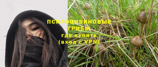 соль курить ск Горняк