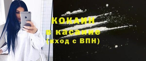 круглые Гусев